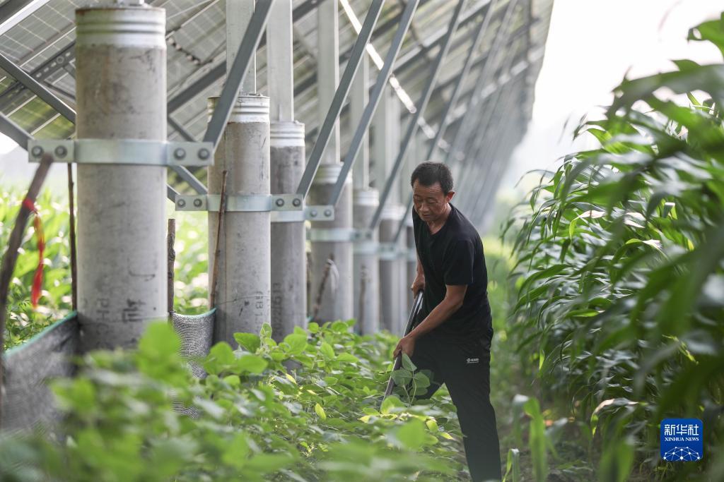 缅甸腾龙网投是真的吗?